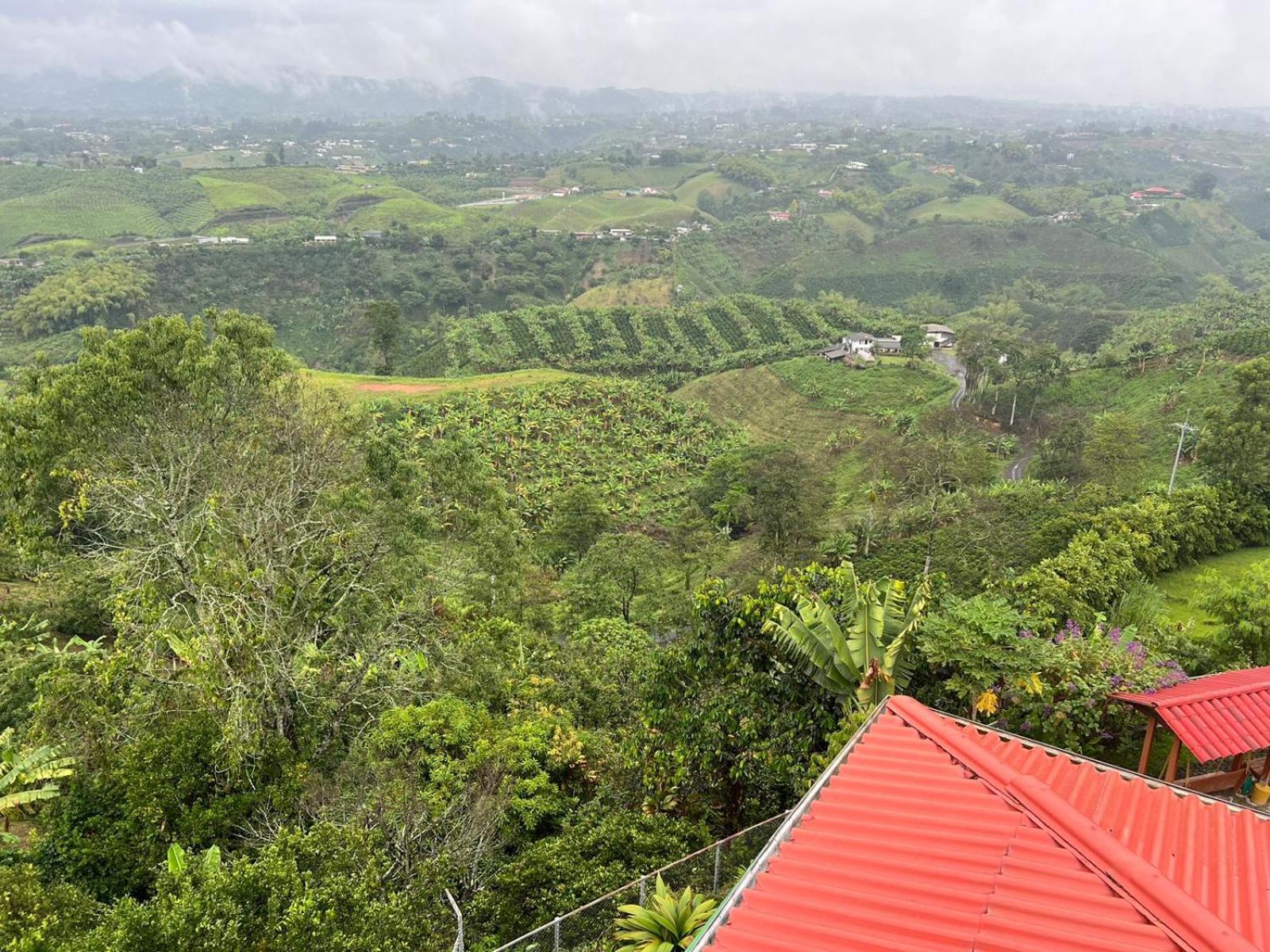 Eco Hotel La Selecta Campestre Pereira Dış mekan fotoğraf